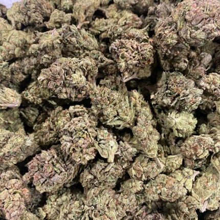 Buy Apple Fritter Strain Online