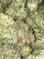 Buy Apple Fritter Strain Online