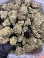 black cherry punch strain