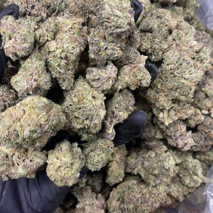 black cherry punch strain