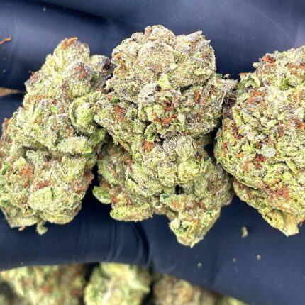 amnesia haze strain near me