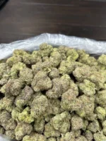 nine nine six strain