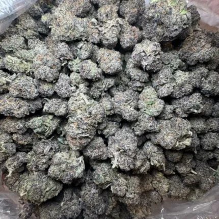 blue candy lemon strain