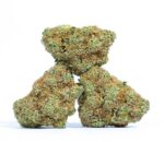 Blueberry Kush Strain