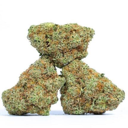 Blueberry Kush Strain