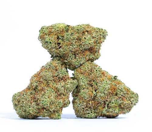 Blueberry Kush Strain Blueberry Kush Strain