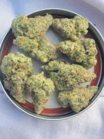 bon bon weed strain