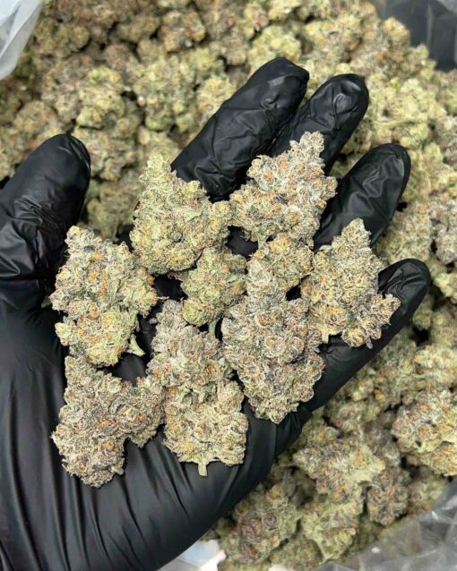 Carbon Fiber Strain Carbon Fiber Strain