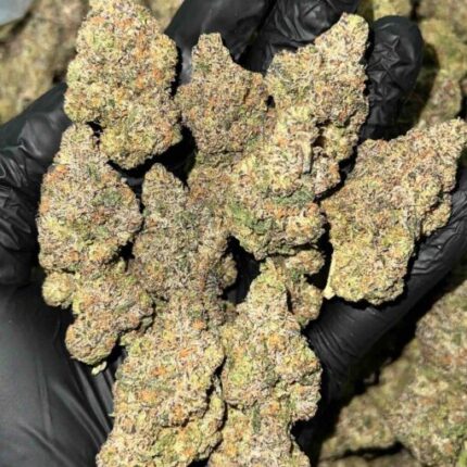 Cherry Gushers Strain near me