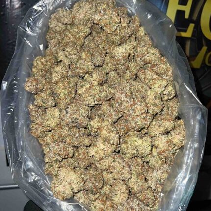 cinnamon buddha strain near me