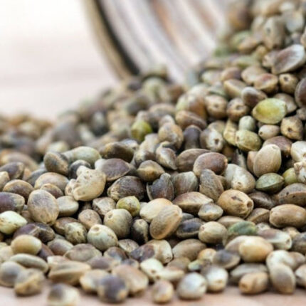 fire og seeds for sale