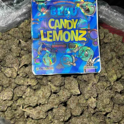 blue candy lemon strain