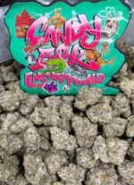 Candy weed Strain