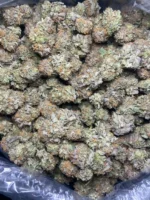 london jelly strain near me