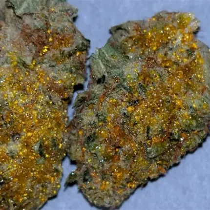 sun rocks weed strain