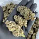 thc amber