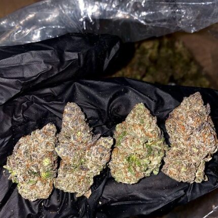 pineapple express strain near me