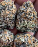 pink runtz strain for sale