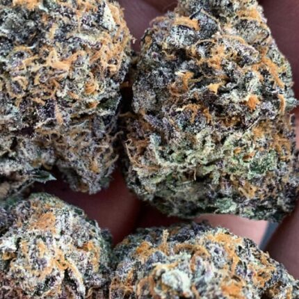 pink runtz strain for sale