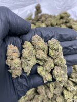 pink runtz strain for sale