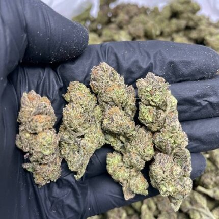 pink runtz strain for sale