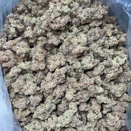 platinum float strain