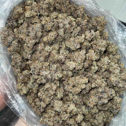 lemon cherry gelato near me