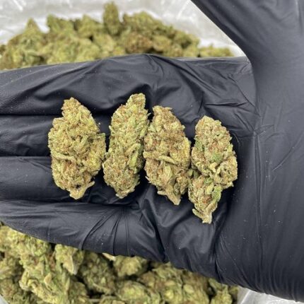 red dragon strain near me