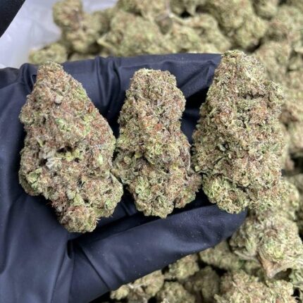 best indica strains for sleep