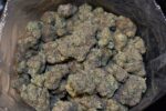 best sativa strains uk