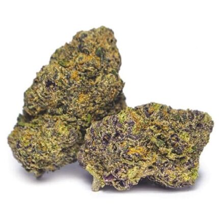 sunset sherbet strain uk