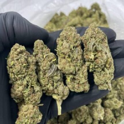 super silver haze near me