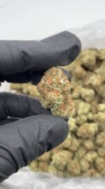 og kush strain for sale