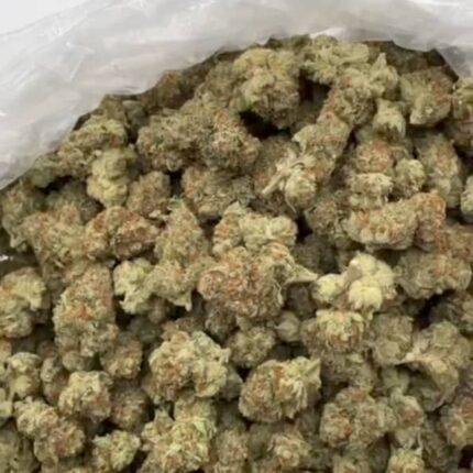 og kush strain for sale