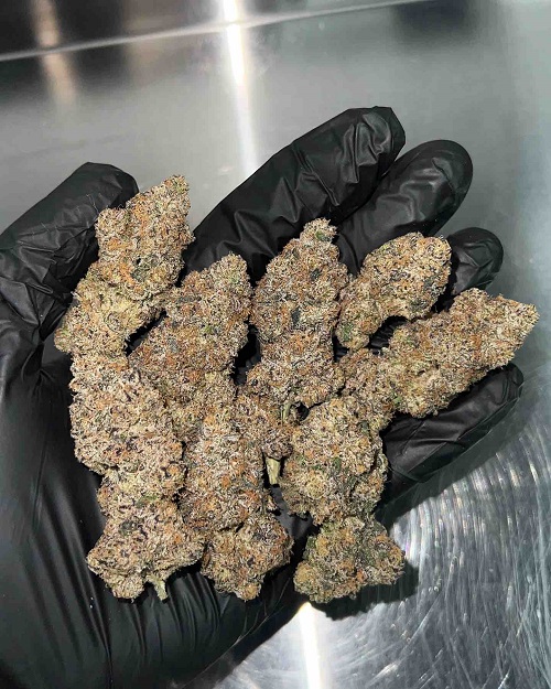 zereal strain weed zereal strain weed