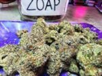 zoap weed strain price