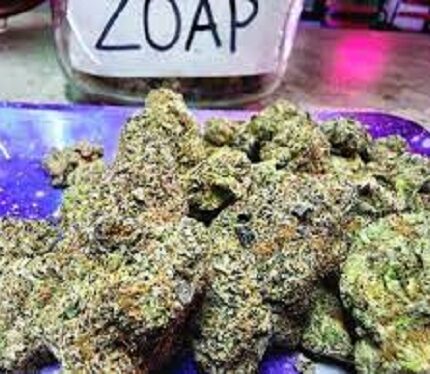 zoap weed strain price