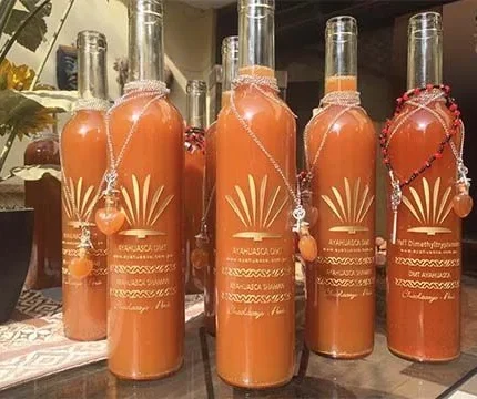 ayahuasca plant online