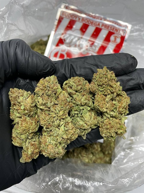 Cheesecake Strain near me Cheesecake Strain near me