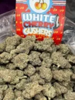 cherry gushers weed