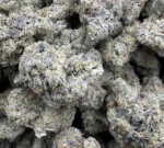 buy lemon gelato pop strain