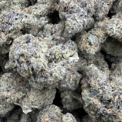 buy lemon gelato pop strain