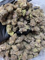 buy platinum kush mints strain