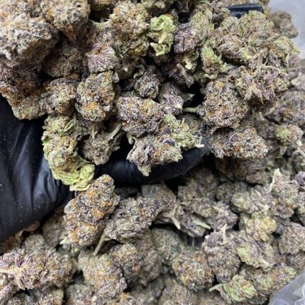 buy platinum kush mints strain