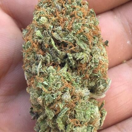 buy platinum kush mints strain