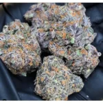 purple gelato strain thc