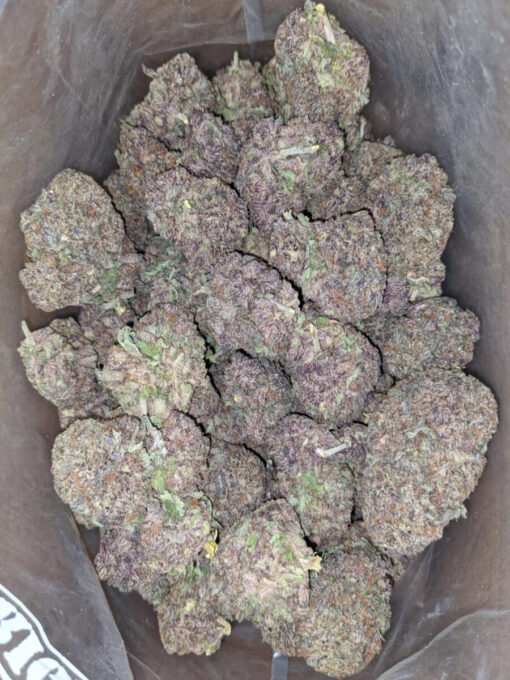 purple haze strain for sale purple haze strain for sale