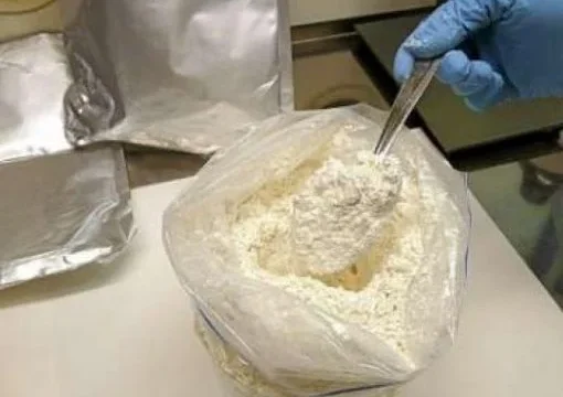 dmt trip